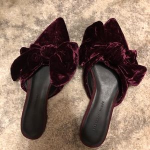 Rebecca minkoff alexis pointes toe mules